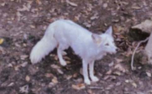 �ٱ�����ƭһ�ζ����(����15ƪ)