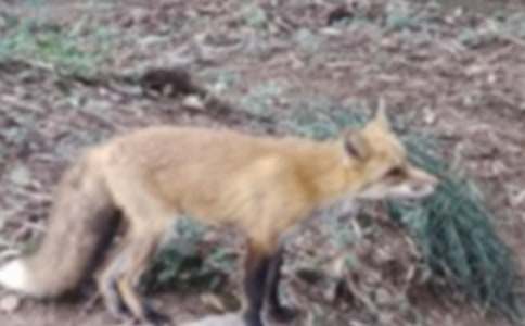 �˲���ĺ���ְ����¶����