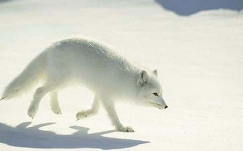 ���˲���ĺ���ְ֡�����кϼ�15ƪ