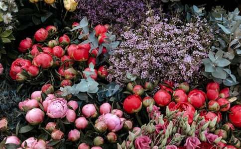 �����ͬ����