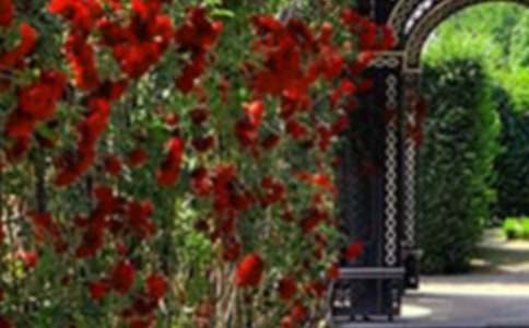 [�Ƽ�]���˵Ļ�԰��ѧ��˼15ƪ