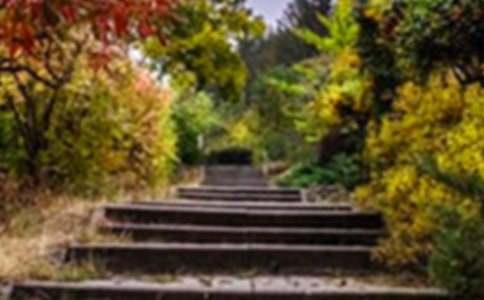 ��԰�����ƶ�����