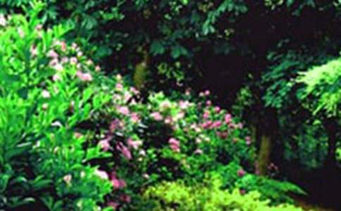 《巨人的花园》教学反思【热门】