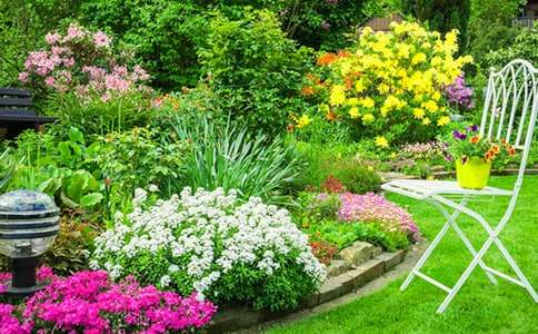 �����˵Ļ�԰����ѧ��˼