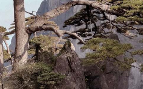 ��ɽ�ĵ��δ�(����15ƪ)