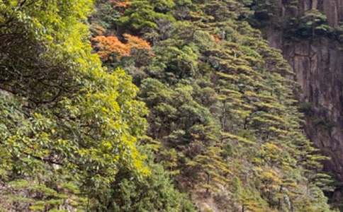 ��ɽ���δ�(�ϼ�15ƪ)