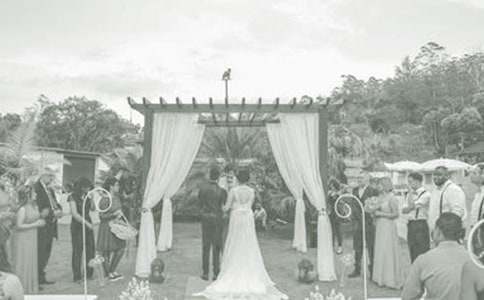 �����ϵ��쵼������