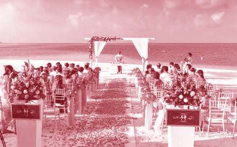 ����ѡ������ף���´�