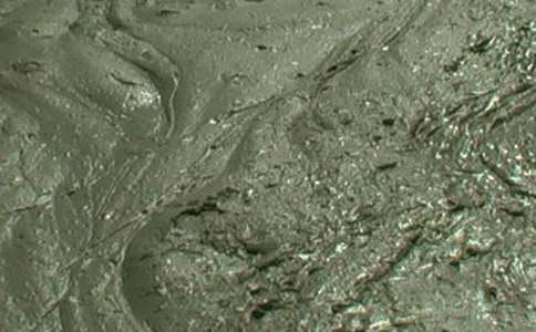 ����������վ�����ܽ�