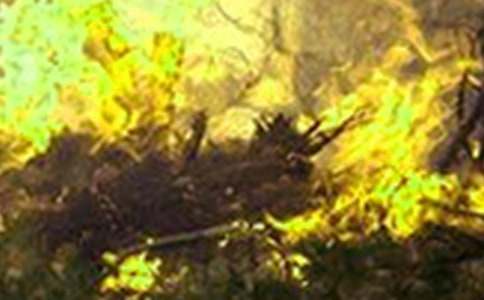 ���������ַ��ع����ܽ�15ƪ