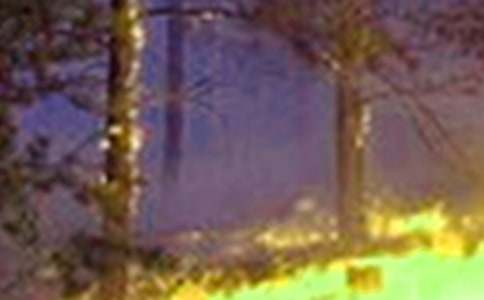 ����Զ����ֵĹ������ݽ���