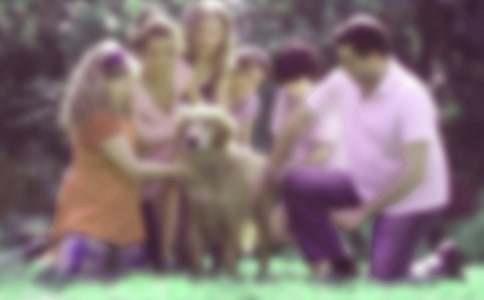 (��)��ͥ�������ùۺ��