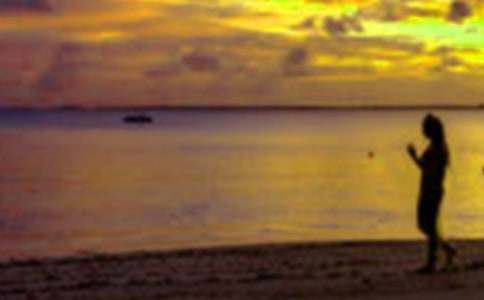 ��ѧ����ʵ������(15ƪ)