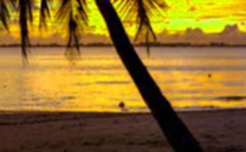 ���ڴ����ʵ������15ƪ