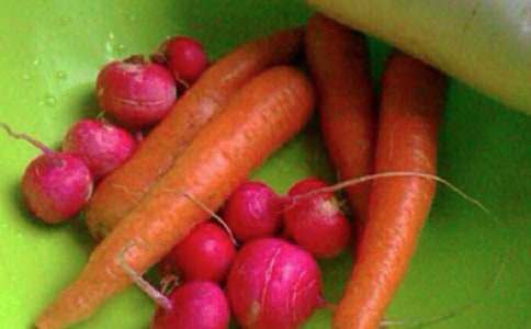 ���񽡿����������ܽ�