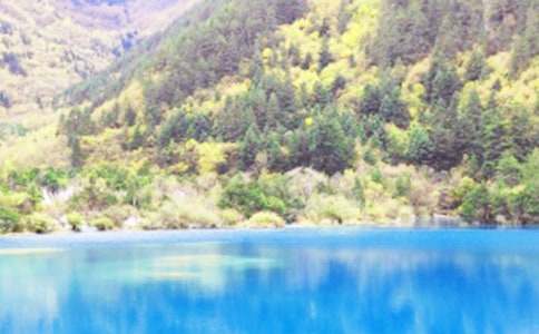 �Ĵ���կ�����㵼�δ�