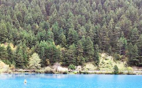 九寨沟导游词(推荐)