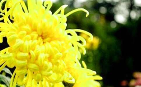 ���ջ����������