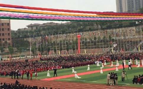 ��ѧ����ѧ���������Ը�(15ƪ)