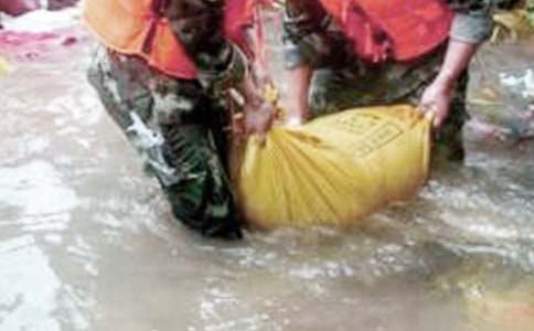 ������ֹ����ܽ�10ƪ