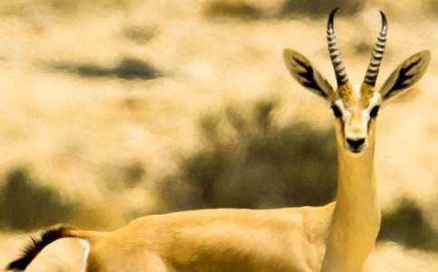 ����ľ��Ķ����15ƪ