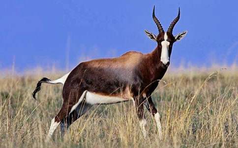 ����ľ���ѧ��˼