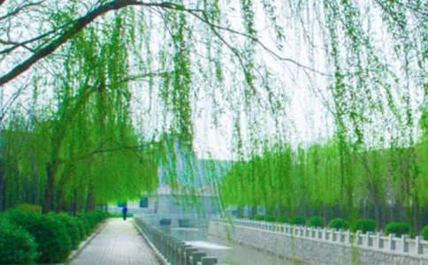 ��������˵�θ�8ƪ