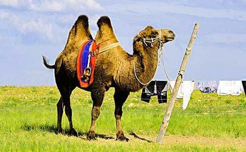 �������Ӷ����(15ƪ)