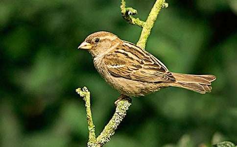 ��ȸ��ѧ��˼����