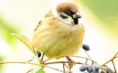 ������������ȸ��һ��ʱ��ѧ��˼���ģ�ͨ��11ƪ��