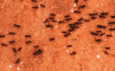 �аཡ������̰�����ѧ��˼����������������ѡ10ƪ��