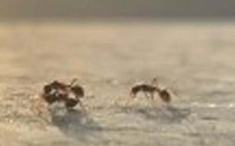 �����Ϻ���ȸ�������