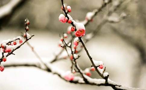 ��÷���꡷�����15ƪ