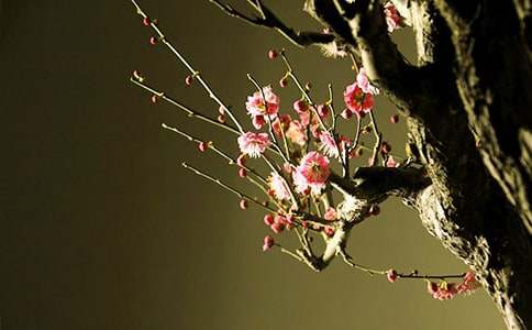 ��÷���꡷��ѧ��˼���ģ�ͨ��7ƪ��