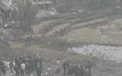 ú������ƶȺϼ�15ƪ