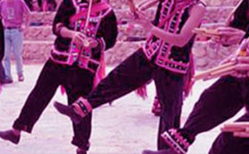 《民族服饰真漂亮》教学反思