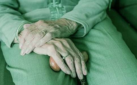 ���̵����Ƕ����