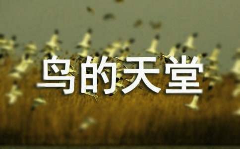 д������õĵ��δ�