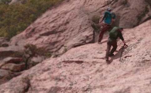 ��ɽ���ĽŽ�ѧ��˼15ƪ