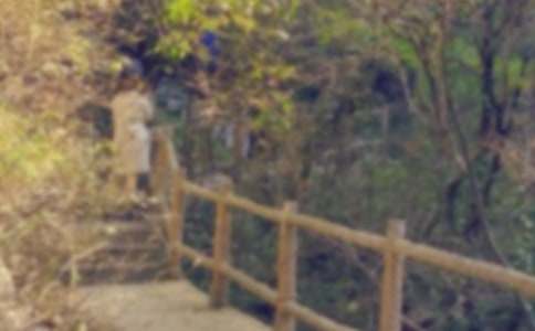 ���ϼ�����ɽ���ĽŽ�ѧ��˼15ƪ