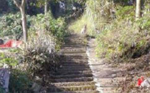 ��ɽ��ܽ�(����15ƪ)