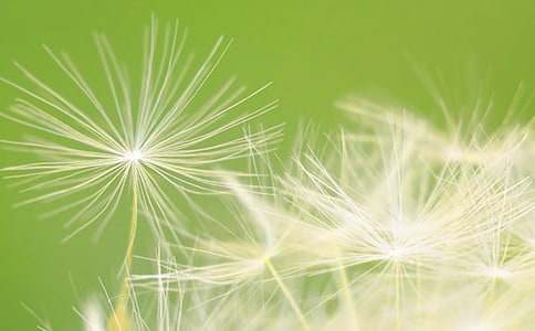 �ѹ�Ӣ���ν�ѧ��˼(15ƪ)