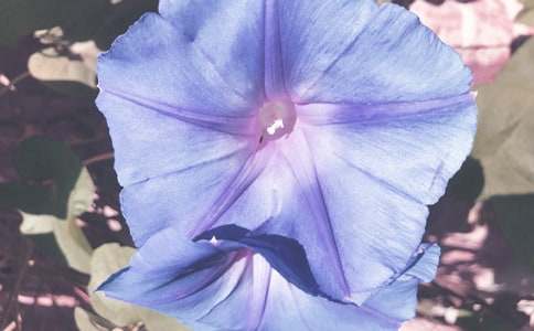 ��������ǣţ������ѧ��˼