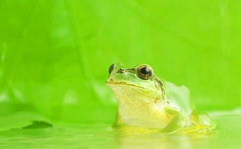 ������дʫ����ѧ��˼15ƪ����ѡ��