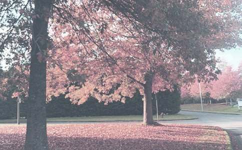 �＾�������������ƻ�