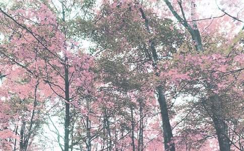 秋季学期总务处工作总结10篇