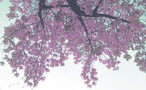 秋季学期教学工作总结15篇