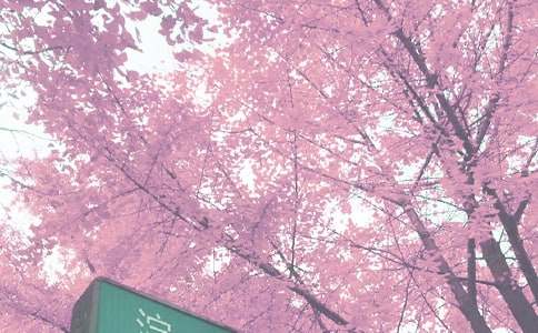 �＾��ѧ�ܽ᷶��10ƪ