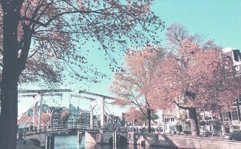 �＾��ѧ�ܽ᷶�ĺϼ�5ƪ