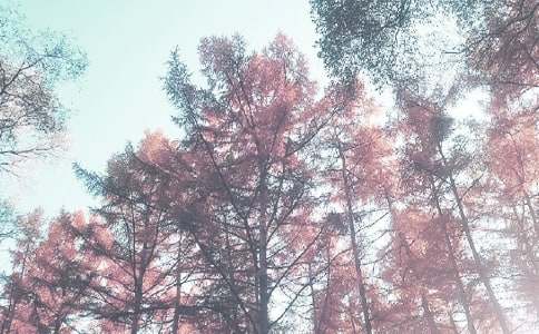 �＾�����ƻ���ƪ